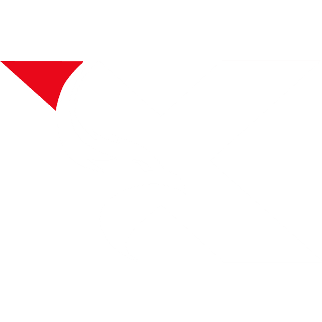 TeamX